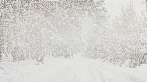 Heavy snowfall in the forest 動画素材 133846975
