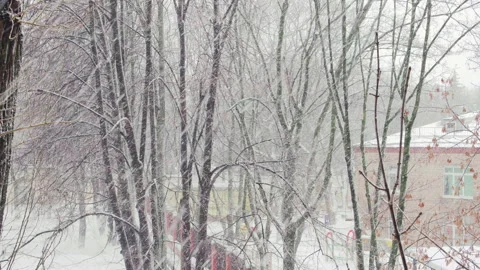 Heavy snowfall with gusts of wind erupted in the city 1 Stock Footage 169142191