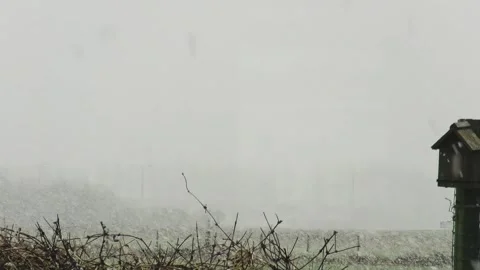 Heavy snowfall at home 库存影片 143921127