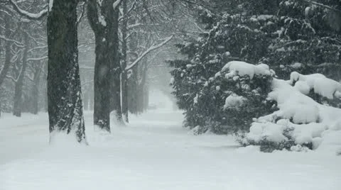 Heavy Snowfall Lake-Effect Snow Stock Footage 22247170