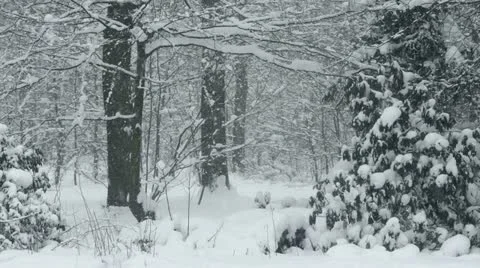 Heavy Snowfall Lake-Effect Snow Stock Footage 22250811
