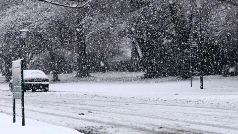 Heavy Snowfall Lake-Effect Snow Stock Footage 70535809