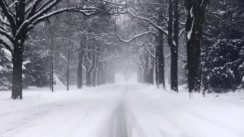 Heavy Snowfall Lake-Effect Snow Stock Footage 70536652