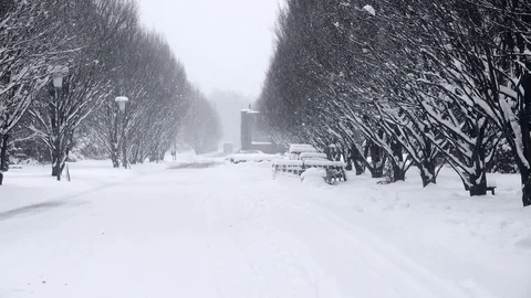 Heavy Snowfall Lake-Effect Snow Stock Footage 70537278