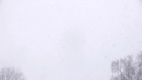 Heavy Snowfall Lake-Effect Snow Stock Footage 70538369
