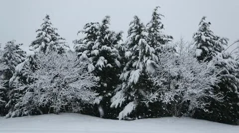 Heavy snowfall landscape Stock Footage 22247069