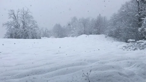 Heavy snowfall, large flakes of snow Stock Footage 118315382