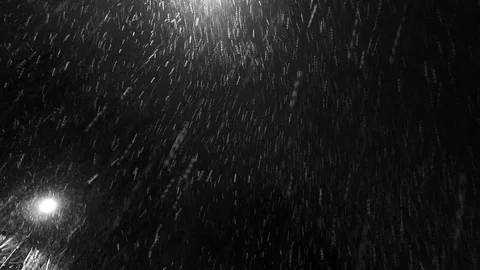Heavy snowfall. large snow flakes are rapidly flying to the ground against the Stock Footage 100511669