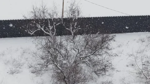Heavy Snowfall Over A Bare Winter Tree And Fence Stock Footage 327953937