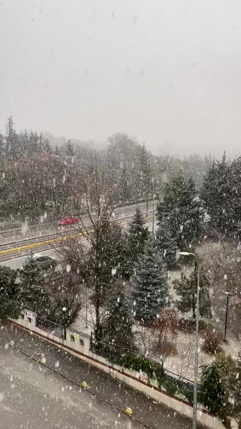 Heavy Snowfall Over Trees and Road in Winter Stock Footage 342182019