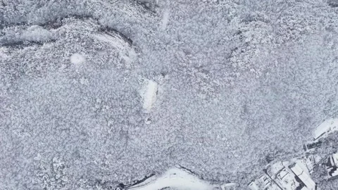 Heavy Snowfall Over Winter Forest, Forward Top Down Drone Flight in Korea Stock Footage 344247829