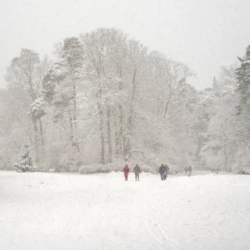Heavy snowfall in a park Stock Photos