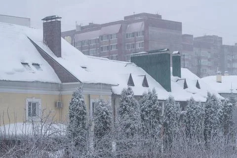 Heavy snowfall. Stock Photos