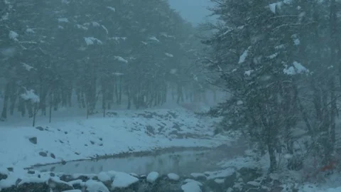 Heavy Snowfall in Pine Forest with Stream Winter Nature Scene Stock Footage 319522629