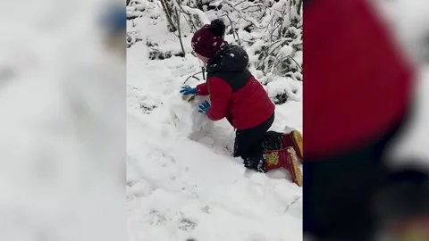 Heavy snowfall settles in Yorkshire  Stock Footage 296963731