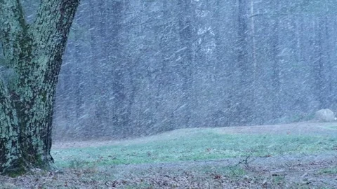 Heavy snowfall in slow motion during winter storm, static shot Video stock 325427650