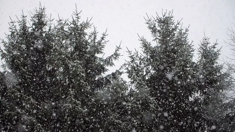 Heavy Snowfall in Slow Motion 스톡 동영상 84881571