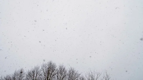 Heavy Snowfall in Slow Motion 스톡 동영상 84881983