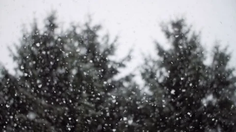 Heavy Snowfall in Slow Motion 스톡 동영상 84882049