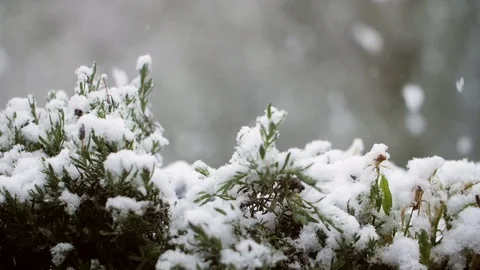 Heavy Snowfall in Slow Motion 스톡 동영상 84882810