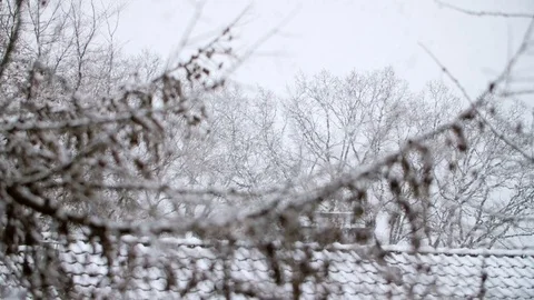 Heavy Snowfall in Slow Motion 스톡 동영상 84883269