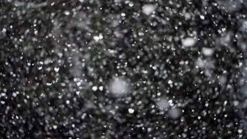 Heavy Snowfall in Slow Motion 스톡 동영상 84883772
