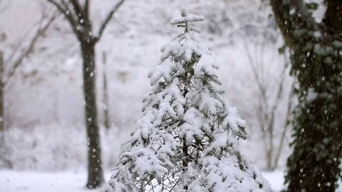 Heavy Snowfall in Slow Motion 스톡 동영상 84883936