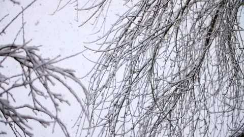Heavy Snowfall in Slow Motion 스톡 동영상 84884293
