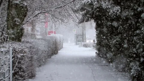 Heavy Snowfall in Slow Motion 스톡 동영상 84885549