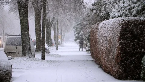 Heavy Snowfall in Slow Motion 스톡 동영상 84886004
