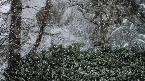 Heavy Snowfall in Slow Motion 스톡 동영상 84888934
