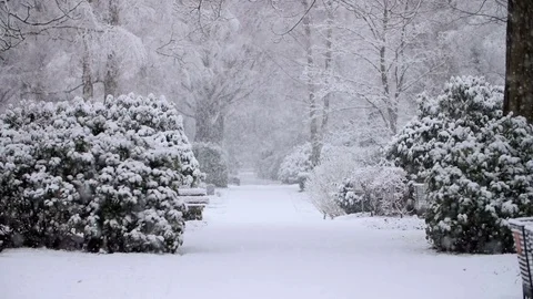 Heavy Snowfall in Slow Motion Vídeo Stock 84889804