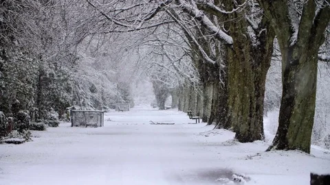 Heavy Snowfall in Slow Motion Stock Footage 84891255