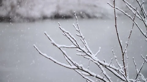 Heavy Snowfall in Slow Motion Vídeo Stock 84891710