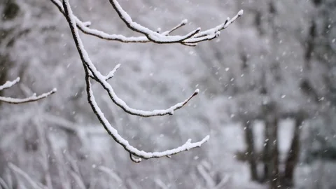 Heavy Snowfall in Slow Motion Vídeo Stock 84892140