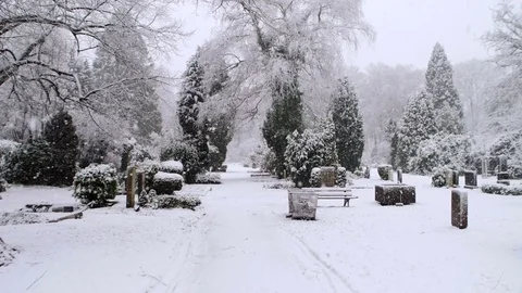 Heavy Snowfall in Slow Motion Vídeo Stock 84893883
