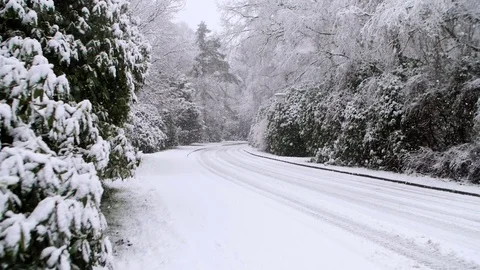 Heavy Snowfall in Slow Motion Vídeo Stock 84894128