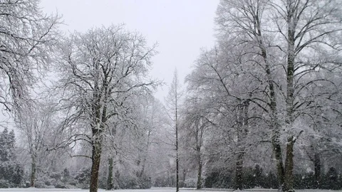 Heavy Snowfall in Slow Motion Vídeo Stock 84894517