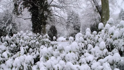 Heavy Snowfall in Slow Motion Vídeo Stock 84894830