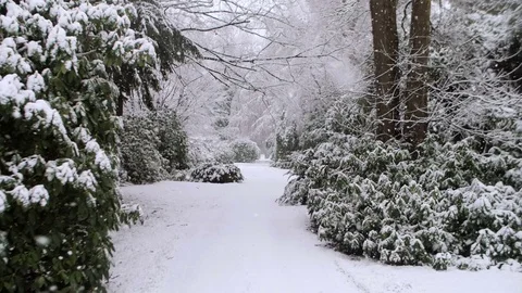 Heavy Snowfall in Slow Motion Vídeo Stock 84895086