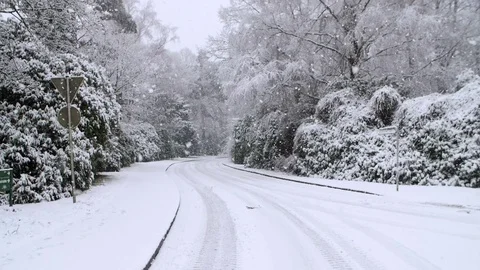 Heavy Snowfall in Slow Motion Stock Footage 84895692