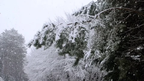 Heavy Snowfall in Slow Motion Vídeo Stock 84897112