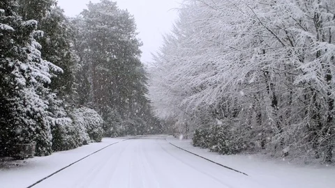 Heavy Snowfall in Slow Motion Vídeo Stock 84898442