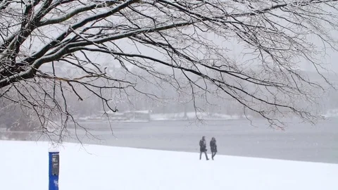 Heavy Snowfall in Slow Motion Vídeo Stock 84905330