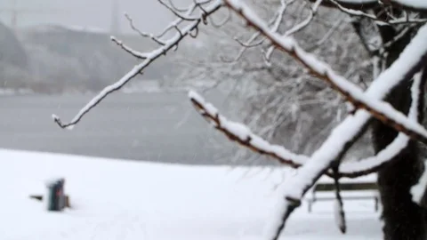 Heavy Snowfall in Slow Motion Vídeo Stock 84905655