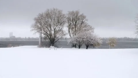 Heavy Snowfall in Slow Motion Vídeo Stock 84906748