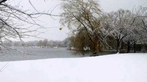 Heavy Snowfall in Slow Motion Vídeo Stock 84907054