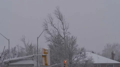 Heavy snowfall with snow piling up on tree Stock Footage 143753005