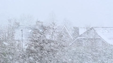 Heavy snowfall Snowflakes falls on trees and roofs of houses Blizzard Stock Footage 235236365