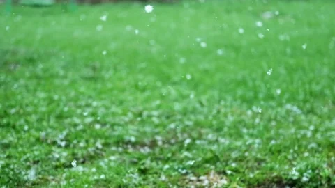 Heavy snowfall at spring. Snow and blurred green grass, trees. Slowly falling 스톡 동영상 279470385